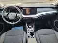 Skoda Octavia Combi Selection 1.5 TSI mHEV 110 kW DSG Grau - thumbnail 13