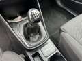 Ford Fiesta 1.1 75 CV 5 porte Titanium *PREZZO PROMO* Gris - thumbnail 13