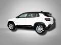 Jeep Avenger Altitude 1.2 E-Hybrid 6-Stufen-DCT 74 kW (101 P... Weiß - thumbnail 4