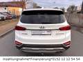 Hyundai SANTA FE Premium 2WD Blanc - thumbnail 4