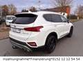 Hyundai SANTA FE Premium 2WD Blanc - thumbnail 5