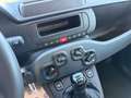 Fiat Panda Panda 4x2 FireFly Hybrid 70 Pandina Pandina Weiß - thumbnail 12