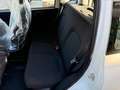 Fiat Panda Panda 4x2 FireFly Hybrid 70 Pandina Pandina Weiß - thumbnail 13