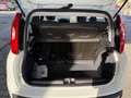 Fiat Panda Panda 4x2 FireFly Hybrid 70 Pandina Pandina Weiß - thumbnail 14
