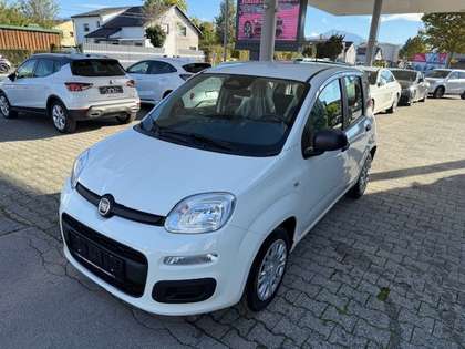 Fiat Panda Panda 4x2 FireFly Hybrid 70 Pandina Pandina Fiat Panda Panda 4x2 FireFly Hybrid 70 Pandina Pandina