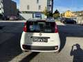 Fiat Panda Panda 4x2 FireFly Hybrid 70 Pandina Pandina Weiß - thumbnail 4