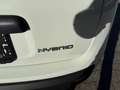 Fiat Panda Panda 4x2 FireFly Hybrid 70 Pandina Pandina Weiß - thumbnail 15