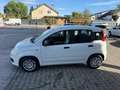Fiat Panda Panda 4x2 FireFly Hybrid 70 Pandina Pandina Weiß - thumbnail 2
