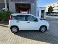 Fiat Panda Panda 4x2 FireFly Hybrid 70 Pandina Pandina Weiß - thumbnail 6