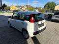 Fiat Panda Panda 4x2 FireFly Hybrid 70 Pandina Pandina Weiß - thumbnail 3