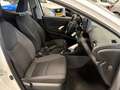 Toyota Yaris 1.0 VVT-i Comfort ECC AIRCO, CAMERA, CRUISE, ELEC Wit - thumbnail 15