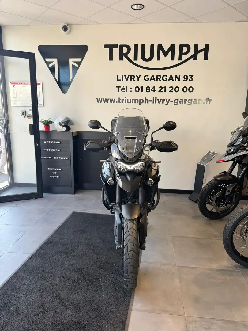 Triumph Tiger 900 - 1