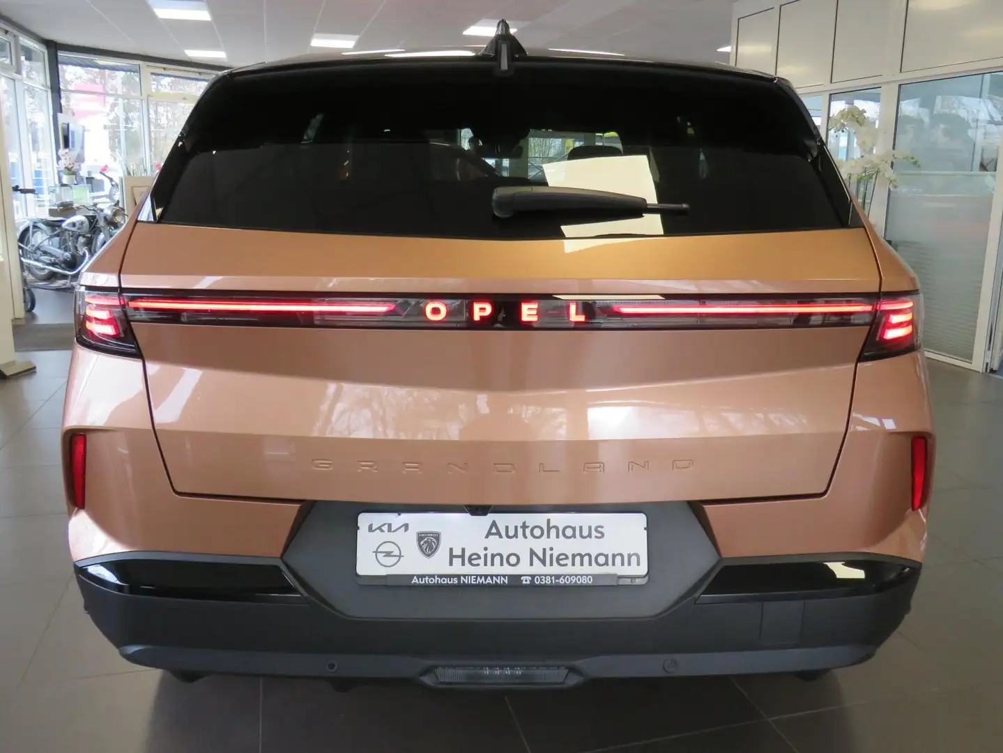 Opel Grandland 1.2 MH48V GS *RFK*SH*LED*DAB*TEMP*LM*NAVI*PDC* Braun - 2