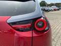 Mazda MX-30 GTE+/Premium-V/Tech Rot - thumbnail 11