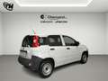 Fiat Panda 1.2 Pop Van 2 posti Wit - thumbnail 5