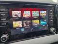 Skoda Karoq 1.5 TSI ACT Sportline Business, leder int, dealer Grijs - thumbnail 20