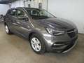 Opel Grandland X 1.5 D Business Elegance, AHK, LED, Leder, Kamera Grau - thumbnail 6