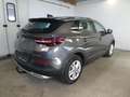 Opel Grandland X 1.5 D Business Elegance, AHK, LED, Leder, Kamera Grau - thumbnail 7