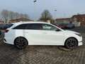 Kia Ceed SW / cee'd SW Ceed SW 1.0 T Nightline Edition Navi Kamera Weiß - thumbnail 4