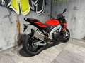 Aprilia Tuono 1x in rot zum SONDERPREIS - thumbnail 2