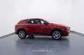 Alfa Romeo Tonale 1.6 diesel 130cv My24 TCT6 Sprint Rosso - thumbnail 7