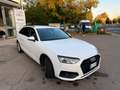 Audi A4 40 2.0 tdi mhev QUATTRO 204cv s-tronic, Weiß - thumbnail 7