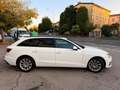 Audi A4 40 2.0 tdi mhev QUATTRO 204cv s-tronic, Weiß - thumbnail 6