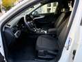 Audi A4 40 2.0 tdi mhev QUATTRO 204cv s-tronic, Weiß - thumbnail 10