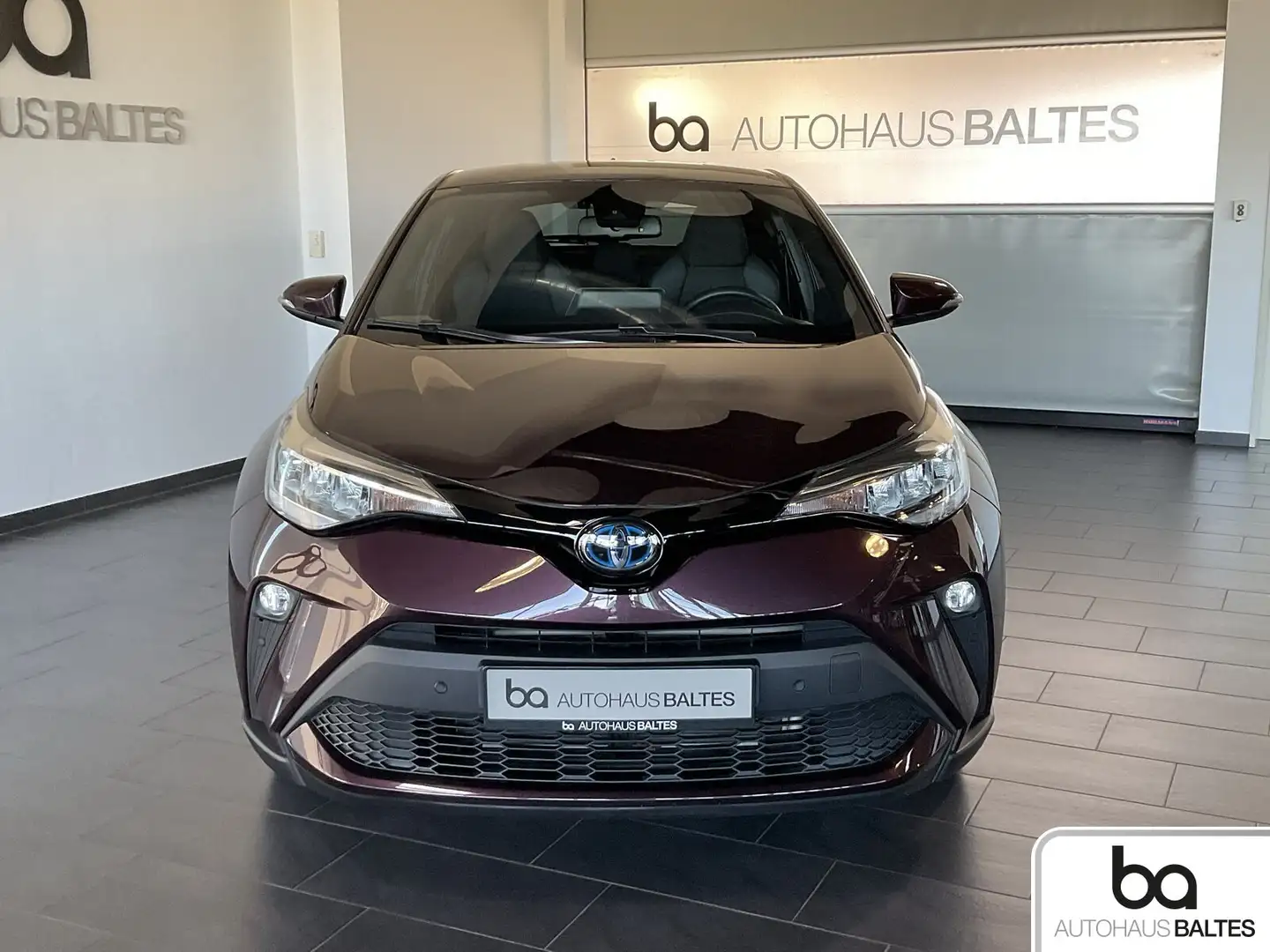 Toyota C-HR C-HR 2.0 Hybrid Team D LED/Apple/Kam/ACC/Sound Violett - 2