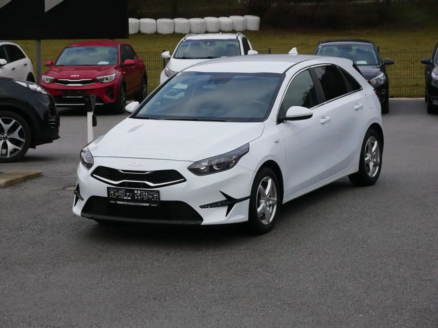 Kia Ceed / cee'd 1,5 TGDI Silber Weiß - 2