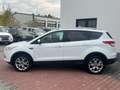 Ford Kuga Titanium|PANO|AUTOMATIK|NAVI|KEYLESS Blanc - thumbnail 6