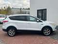 Ford Kuga Titanium|PANO|AUTOMATIK|NAVI|KEYLESS Blanc - thumbnail 8