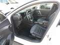 Citroen C4 3ª serie PureTech 130 S&S Shine Bianco - thumbnail 5