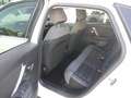 Citroen C4 3ª serie PureTech 130 S&S Shine Bianco - thumbnail 7