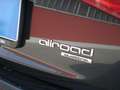 Audi A4 allroad A4 Allroad 2.0 tdi Business 177cv s-tronic Grigio - thumbnail 11