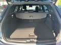 Ford Focus ST-Line X  Turnier 1.0 EcoBoost MHEV,Kamera Azul - thumbnail 12
