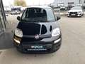 Fiat Panda 4x2 FireFly Hybrid 70 Schwarz - thumbnail 2