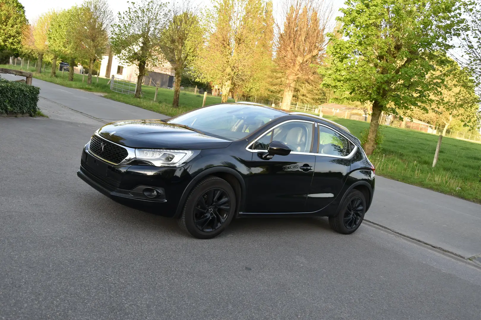 Citroen DS4 1.2i Crossback Bi-Xenon/NaviPro/SportZetels/LED Czarny - 1