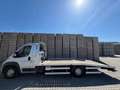 Fiat Ducato Grau - thumbnail 4