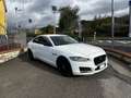 Jaguar XF XF 2.0 D E-Performance Prestige Bianco - thumbnail 3