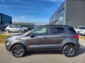 Ford EcoSport 1.0 Ecoboost 125 pk Trend Ultimate Gris - thumbnail 7