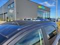 Ford EcoSport 1.0 Ecoboost 125 pk Trend Ultimate Gris - thumbnail 9