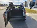 Ford EcoSport 1.0 Ecoboost 125 pk Trend Ultimate Gris - thumbnail 10