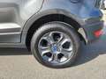 Ford EcoSport 1.0 Ecoboost 125 pk Trend Ultimate Gris - thumbnail 11