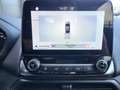 Ford EcoSport 1.0 Ecoboost 125 pk Trend Ultimate Gris - thumbnail 20
