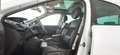 Renault Scenic 1.6 dCi 130CV S&S Bose Fehér - thumbnail 14