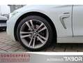 BMW 420 420d Gran Coupe Sport Line Navi HUD SD SHZ PDC - thumbnail 12