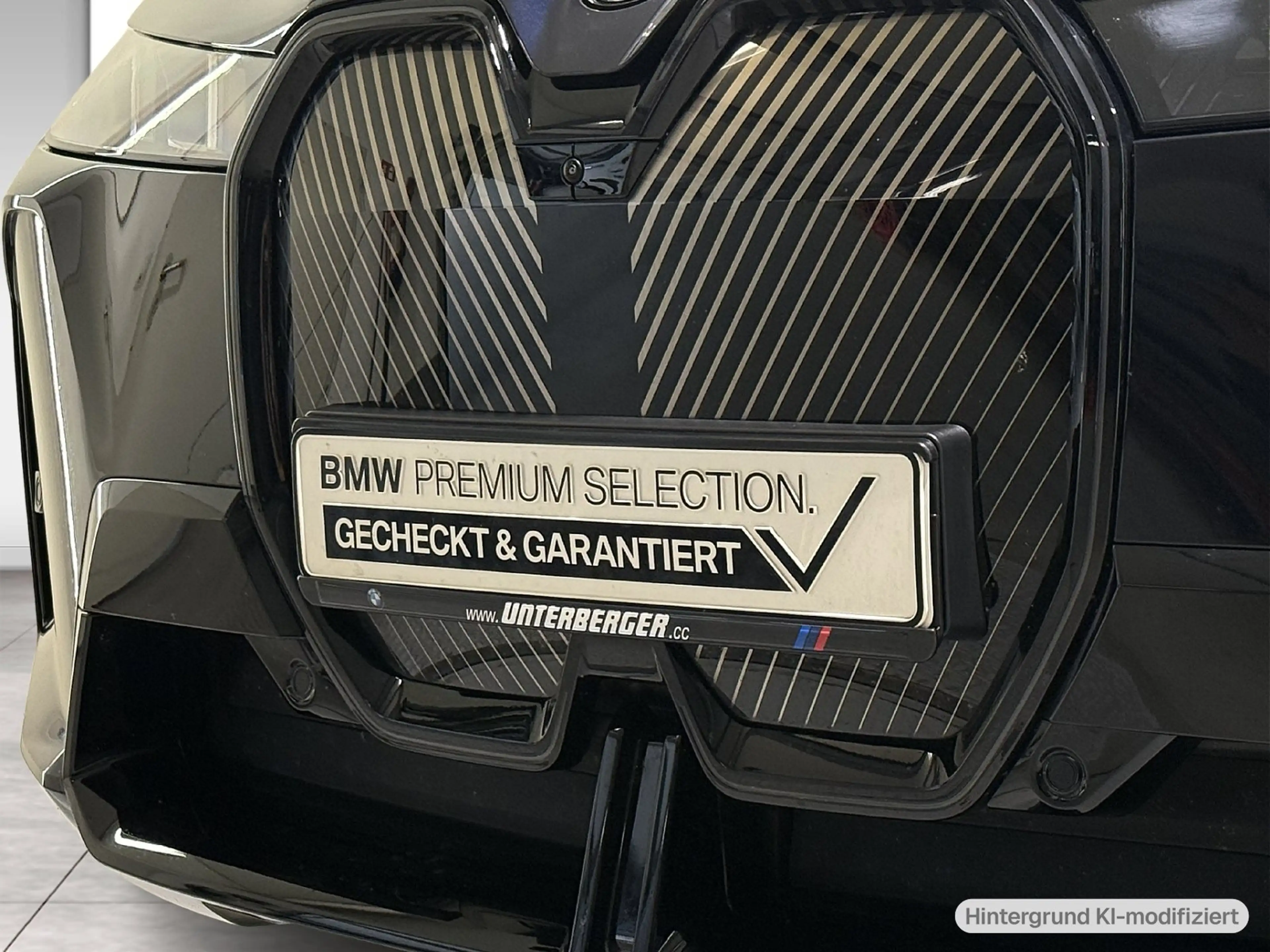 BMW iX xDrive45 M Sportpaket AHK ACC 360 ALED DA-Prof — photo 6