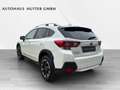 Subaru XV 1.6i Edition Exclusive Plus Blanco - thumbnail 4