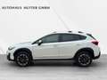 Subaru XV 1.6i Edition Exclusive Plus Blanco - thumbnail 3